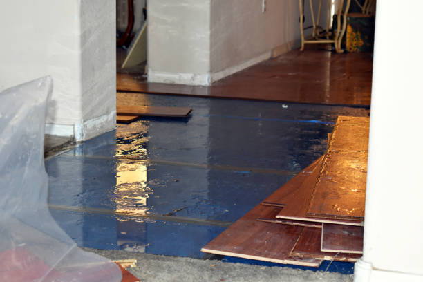 Professional Sewage Cleanup technician working in Bitely, MI